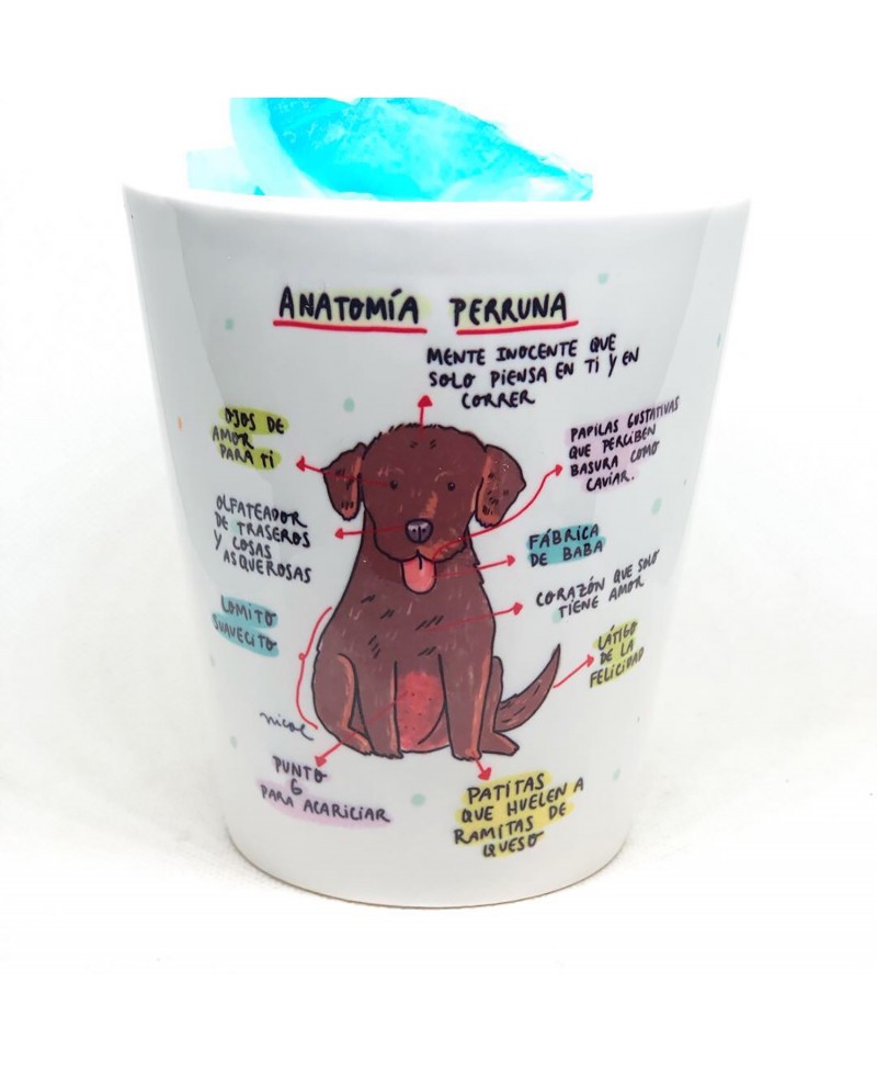 Taza Anatomia Perruna