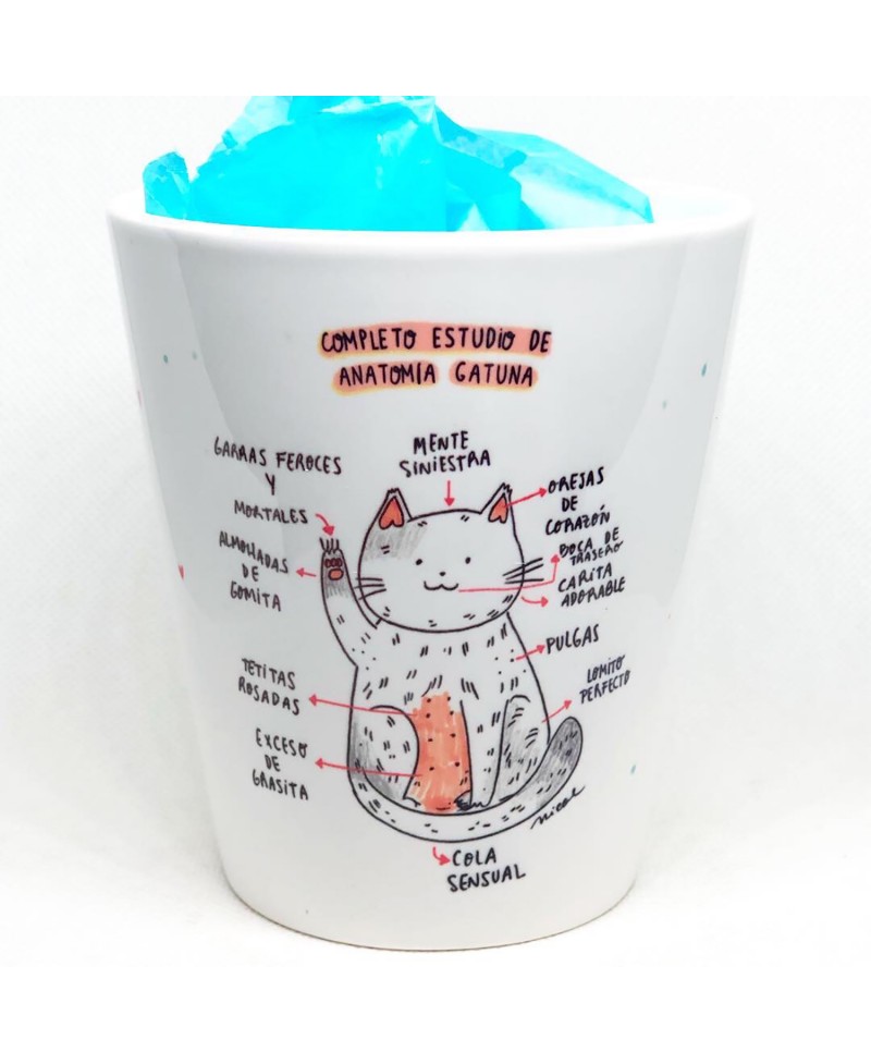 Taza Anatomia Gatuna